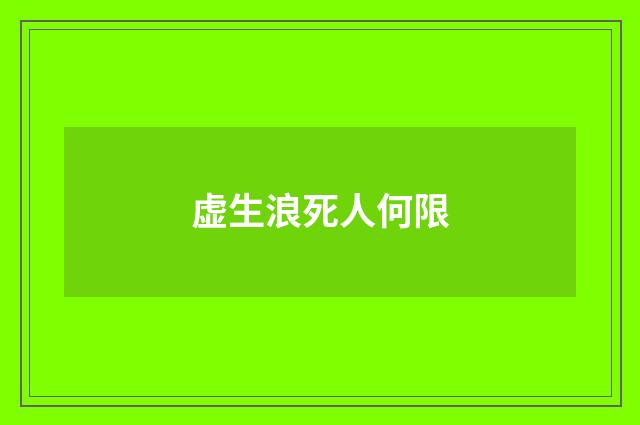 虚生浪死人何限