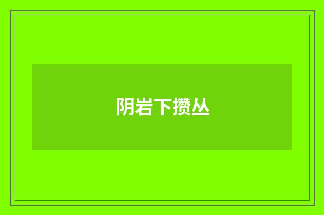阴岩下攒丛