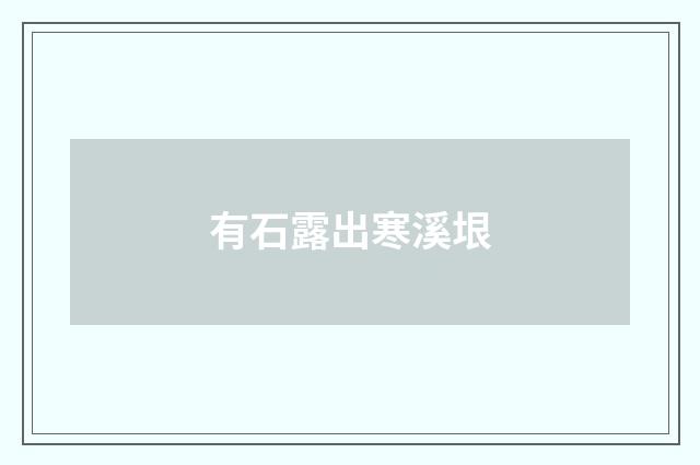 有石露出寒溪垠