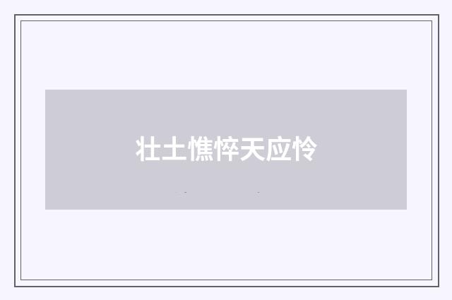 壮土憔悴天应怜