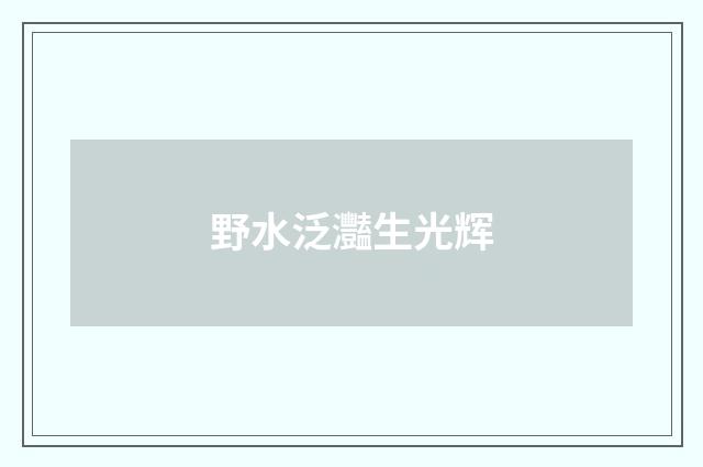野水泛灩生光辉