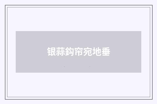 银蒜鈎帘宛地垂