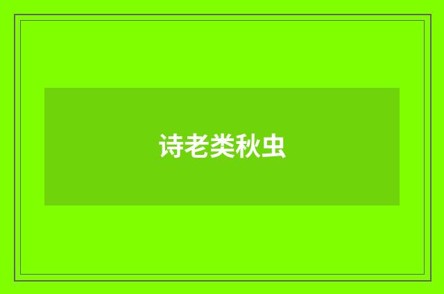 诗老类秋虫