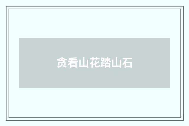 贪看山花踏山石