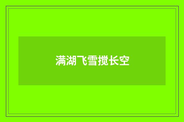 满湖飞雪搅长空