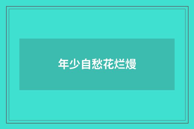 年少自愁花烂熳