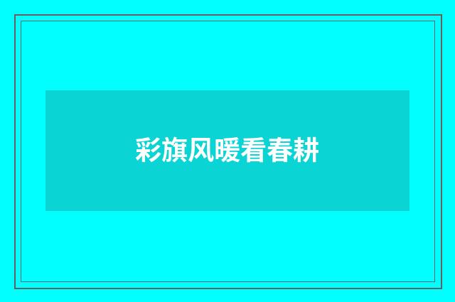 彩旗风暖看春耕