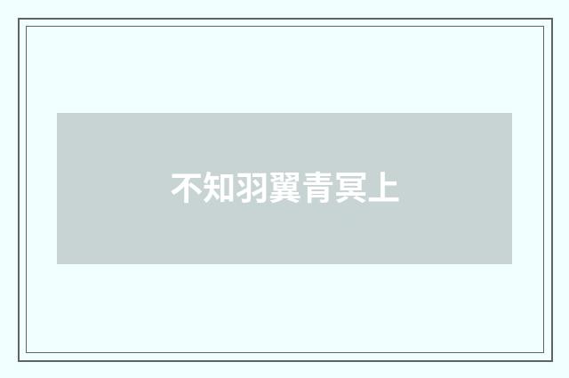 不知羽翼青冥上