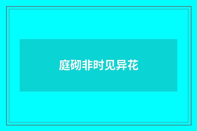 庭砌非时见异花
