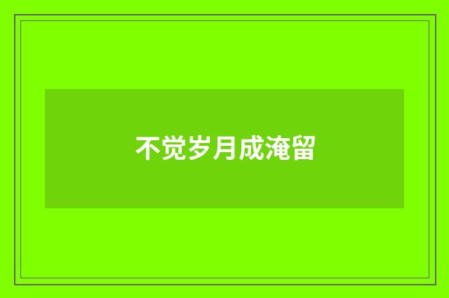 不觉岁月成淹留