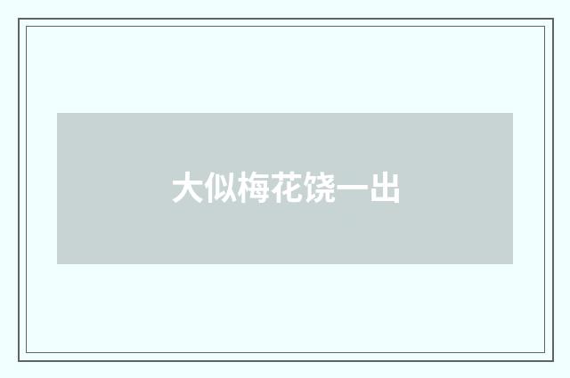 大似梅花饶一出