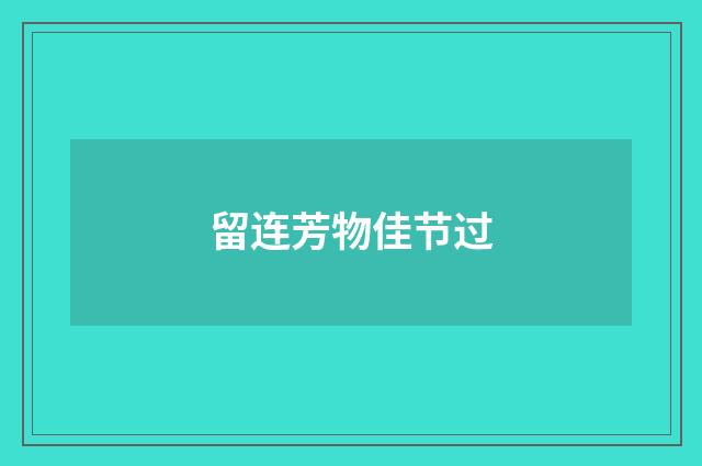 留连芳物佳节过