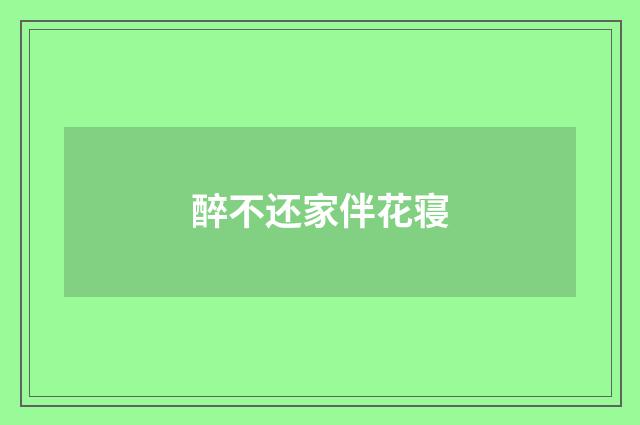 醉不还家伴花寝