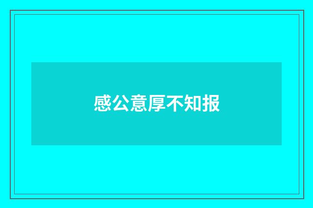 感公意厚不知报