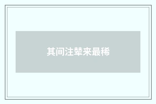 其间注辇来最稀
