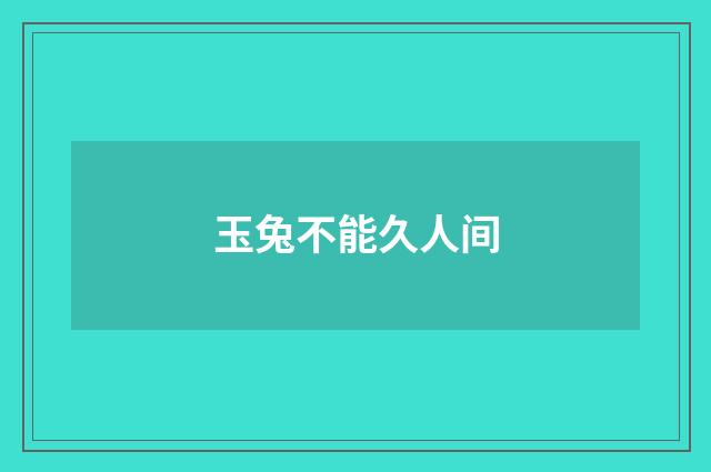 玉兔不能久人间