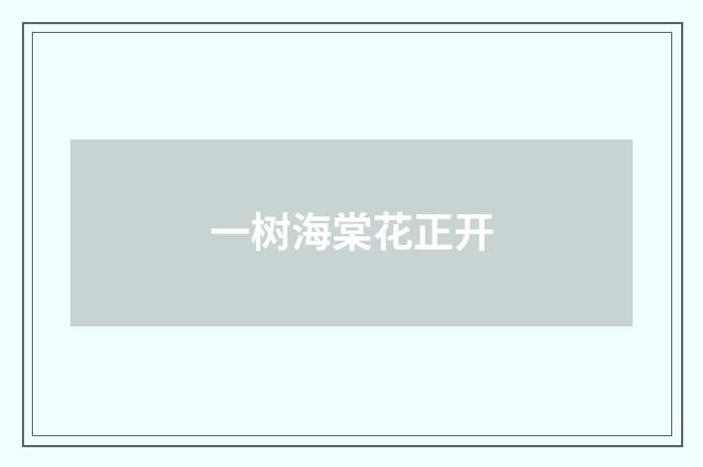 一树海棠花正开