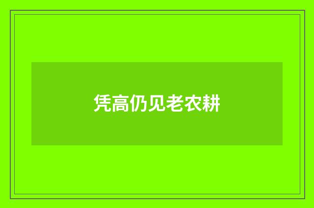 凭高仍见老农耕