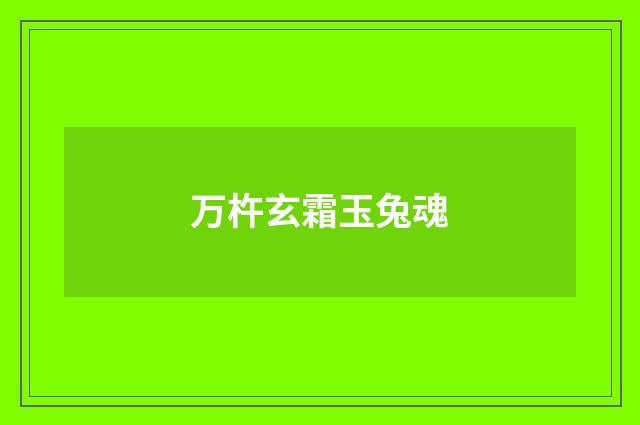 万杵玄霜玉兔魂
