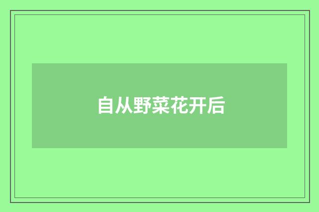 自从野菜花开后