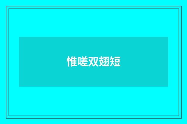 惟嗟双翅短