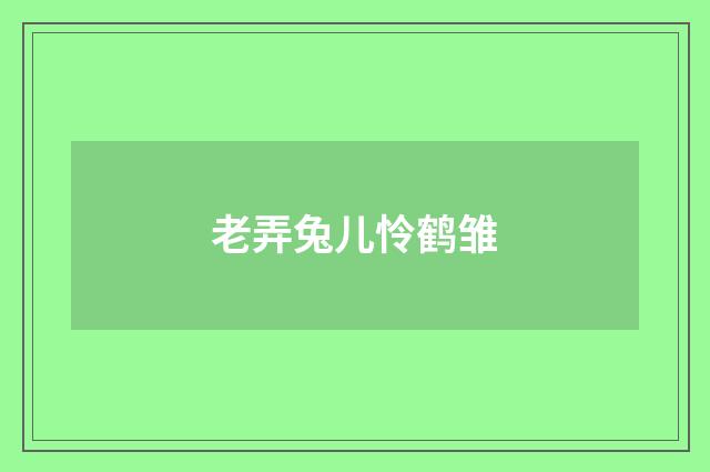 老弄兔儿怜鹤雏