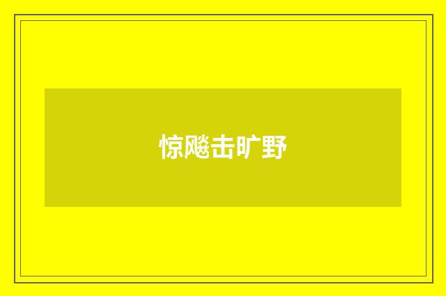 惊飚击旷野