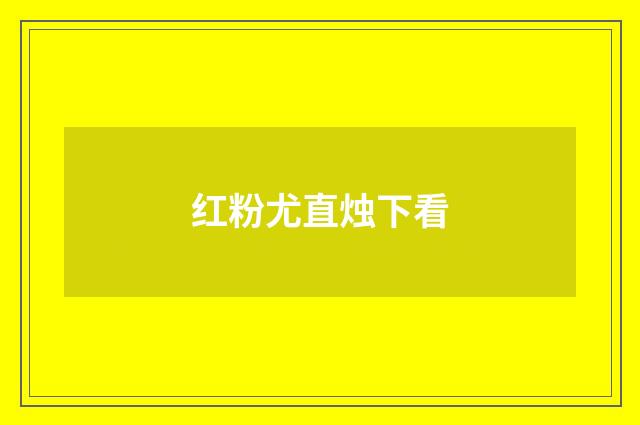 红粉尤直烛下看