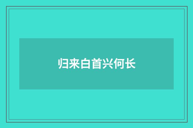 归来白首兴何长