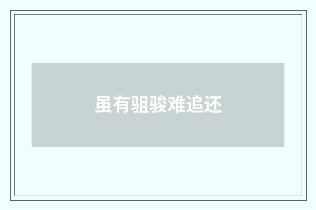 虽有驵骏难追还