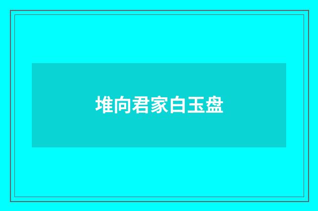 堆向君家白玉盘