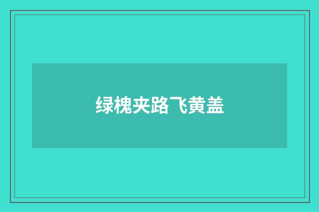 绿槐夹路飞黄盖