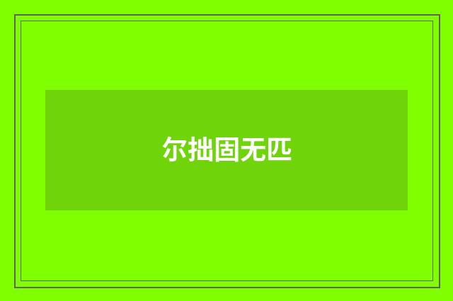 尔拙固无匹