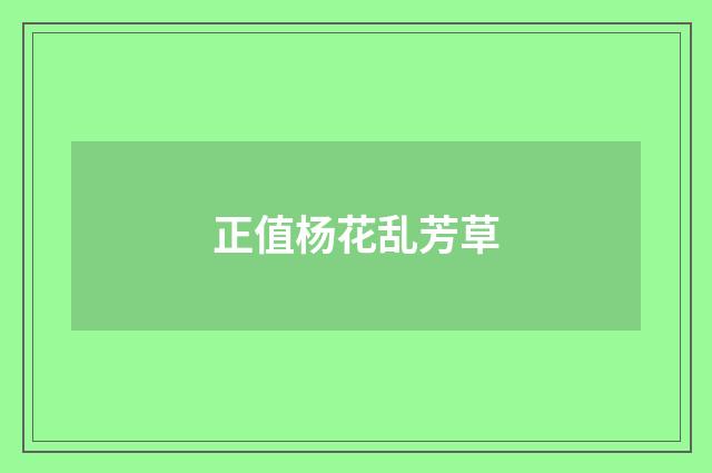 正值杨花乱芳草