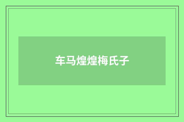 车马煌煌梅氏子