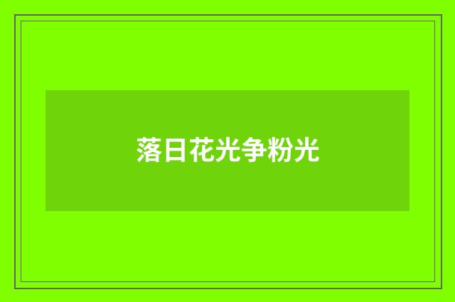 落日花光争粉光