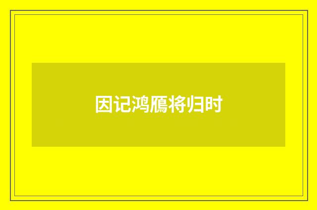 因记鸿鴈将归时