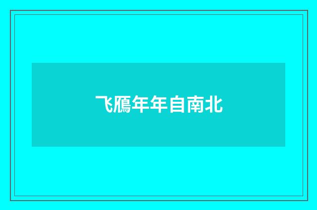 飞鴈年年自南北
