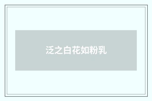 泛之白花如粉乳