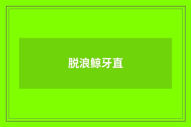 脱浪鲸牙直
