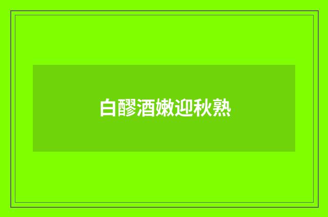 白醪酒嫩迎秋熟