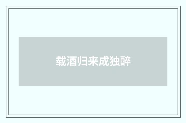 载酒归来成独醉