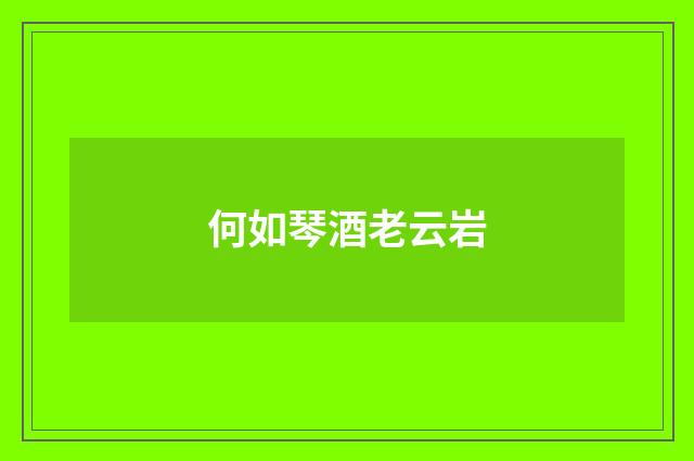 何如琴酒老云岩