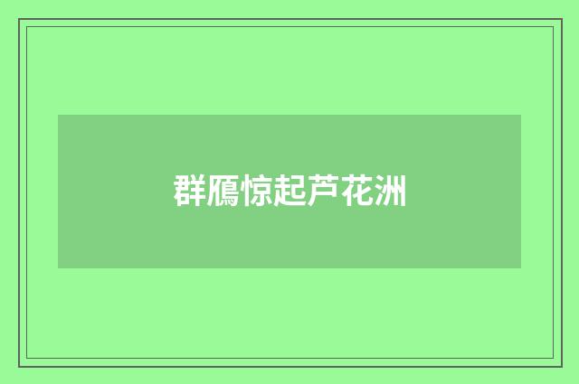 群鴈惊起芦花洲