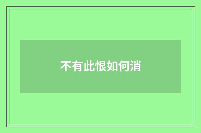 不有此恨如何消