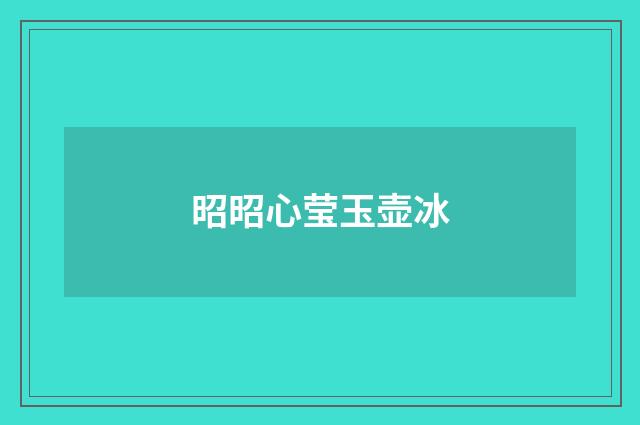 昭昭心莹玉壶冰