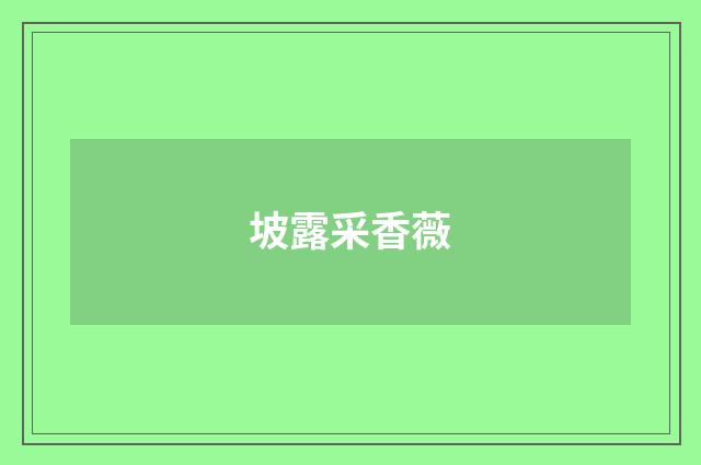 坡露采香薇
