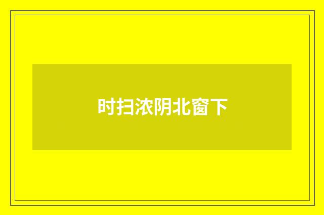 时扫浓阴北窗下