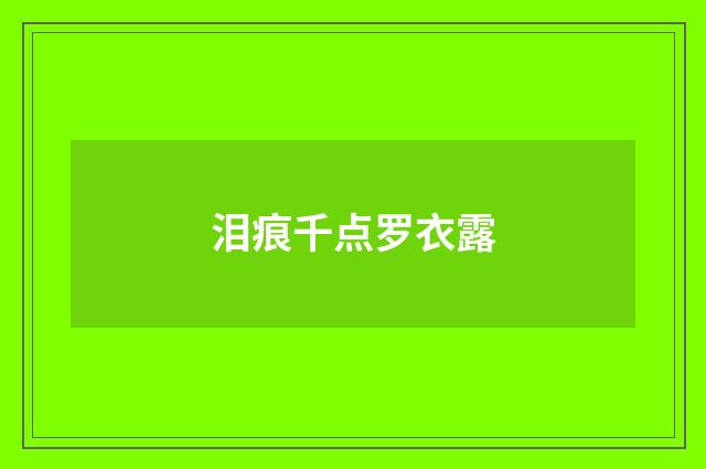 泪痕千点罗衣露