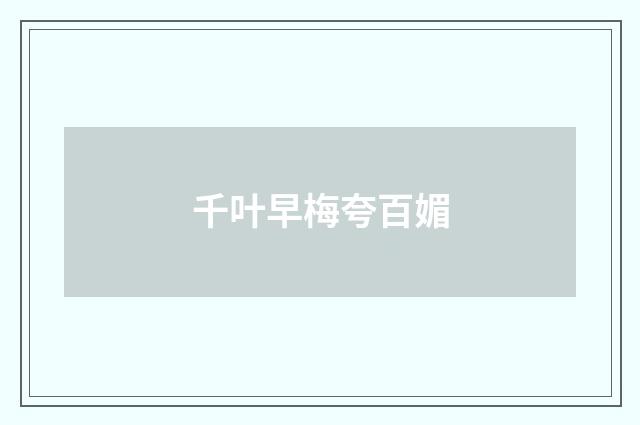 千叶早梅夸百媚